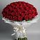101 Красная роза Блэк Мэджик в Кезе Букет 101 Красная роза Блэк Мэджик в Кезе