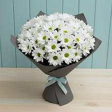 Букет белые хризантемы в Кезе Букет цветов из:  Хризантемы в Кезе