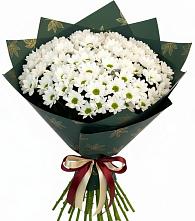 Букет море ромашек в Кезе Букет цветов из:  Хризантемы в Кезе